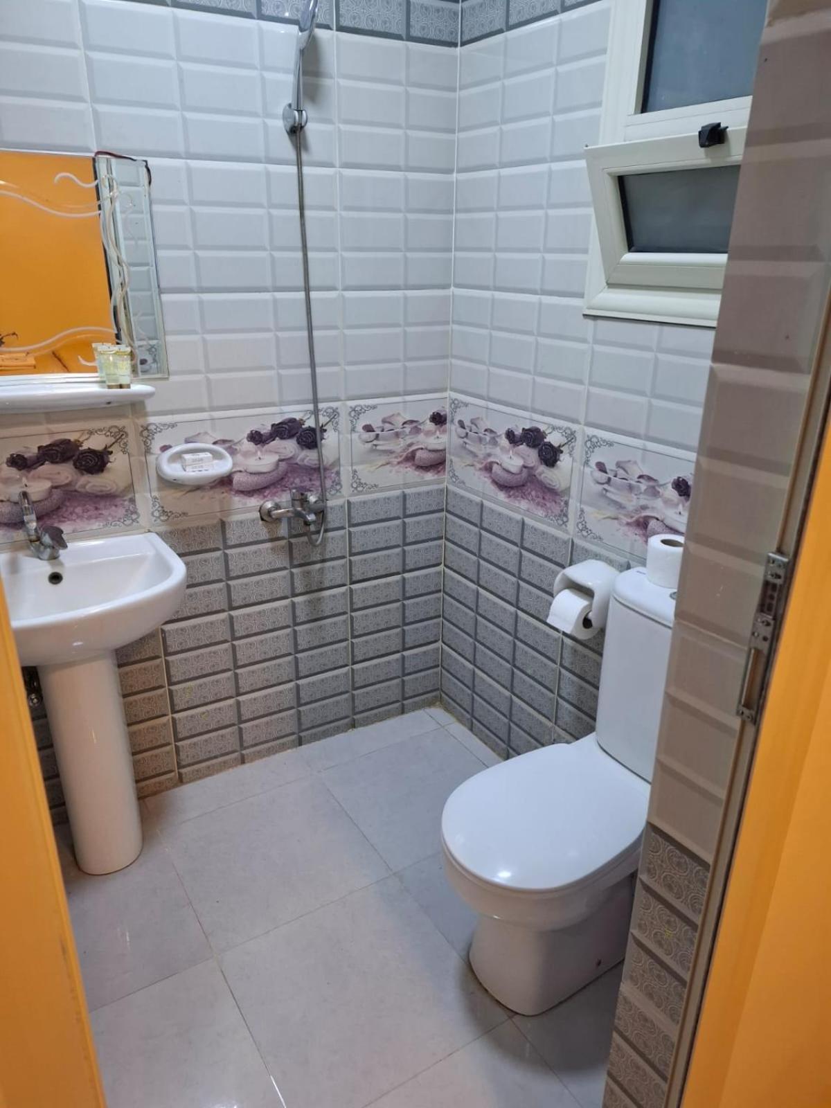 Seror Guest House El Hawamdeya エクステリア 写真